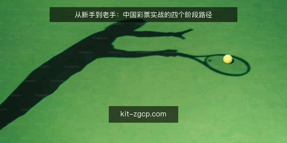 从新手到老手:中国彩票实战的四个阶段路径 — 起点:明确参与边界与信息渠道 配图