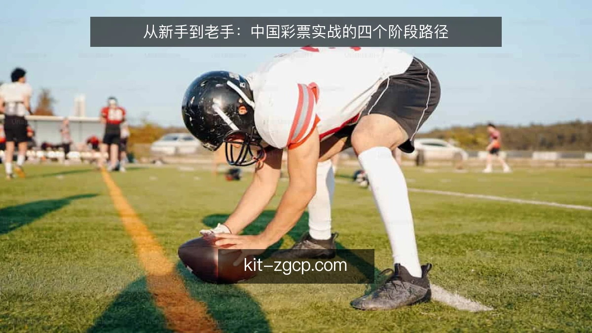 从新手到老手：中国彩票实战的四个阶段路径