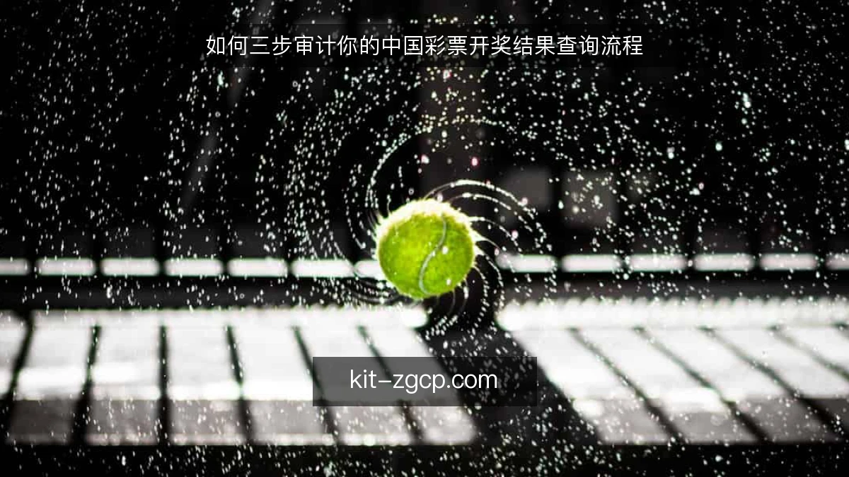 如何三步审计你的中国彩票开奖结果查询流程
