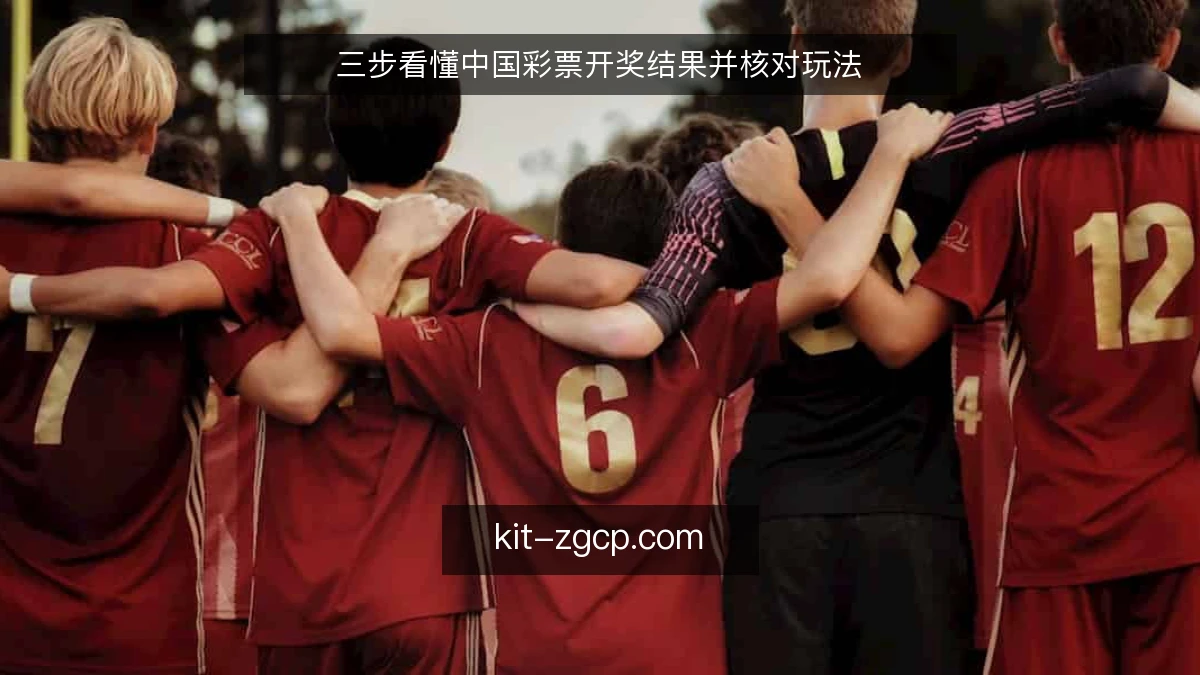 三步看懂中国彩票开奖结果并核对玩法