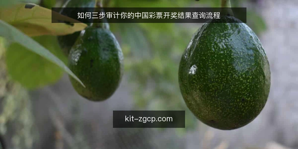 如何三步审计你的中国彩票开奖结果查询流程 — 为什么现在需要审计开奖结果查询流程 配图