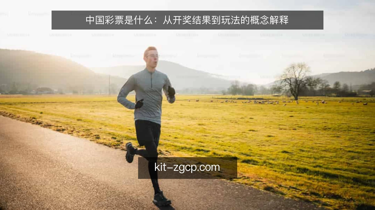 中国彩票是什么：从开奖结果到玩法的概念解释