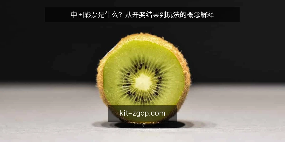 中国彩票是什么?从开奖结果到玩法的概念解释 — 从一次核对失败说起:中国彩票是指什么 配图